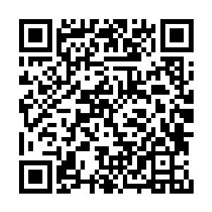 后楚大军早就命人在城墙之上置放了不少的岩石二维码生成