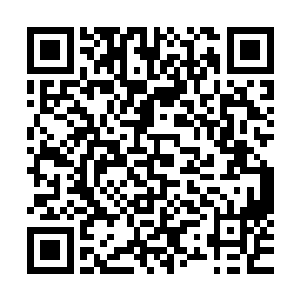 后者立刻一手抓住已经昏迷不醒的西门阀的后衣领提起了起来二维码生成