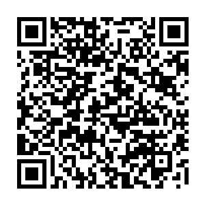 后脚苍茫山主人亲自为徒儿向清尘公子提亲依然被拒的消息就要传遍整个璃城了二维码生成