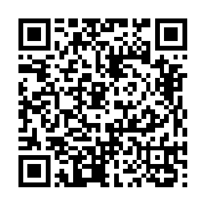 后面一个大概快五十多的中年男子拍了拍她的肩膀二维码生成