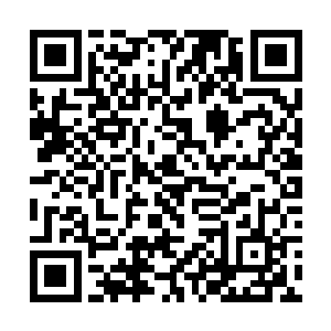 后面他都能从容不迫的在试验品反噬前就控制住他们二维码生成