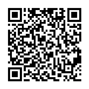 后面的三名分身则是两名分身正在使劲的搓着螺旋丸二维码生成