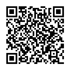 后面的人则是已经身在龙城的诸位老大们远程遥控他们过来二维码生成