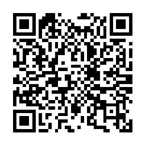 后面的座位是给除了那三十六个各国高手以外的人坐的二维码生成