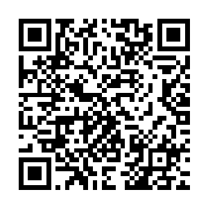 后面追击的尸兄们眼见白小飞这只已经到了嘴边的鸭子就要逃脱二维码生成