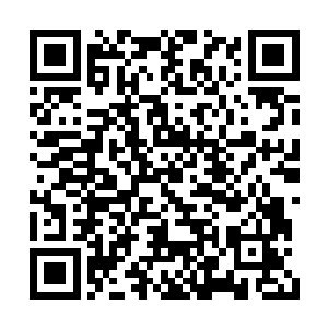 向天明现在感觉他们当时的行为蠢的就像一头猪二维码生成