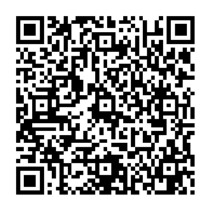 向婉会意的打开一个手机投影仪把自己电脑里的图片投到豪华总统套房的餐厅墙面上二维码生成