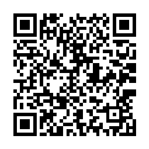 向婉彻底的把方灵颖跟叶明静那套房的一楼变成了情报中心二维码生成