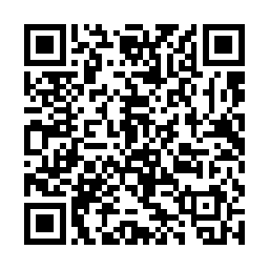 向村中的精灵长着询问了一些有关于北边瀑布的事情二维码生成