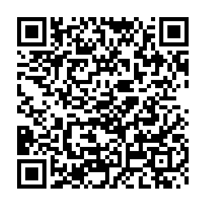 向来把凌菲的话和凌菲的人全都放在心里的族长大人自然是没有错过二维码生成