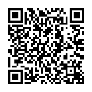 向来把家庭放在第一位的小孟同学自然不会违背爸妈的意思二维码生成