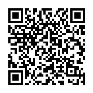 向着用警惕眼神打量四周环境的张开身体要害之处激刺而去二维码生成
