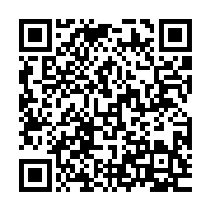 向秦方低下了他那高傲的头颅……这句话里面透出了深深的无奈二维码生成