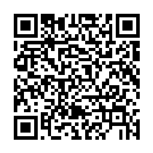 向轩辕杰的斗转星移神通结成的凝实剑意境域撞去二维码生成