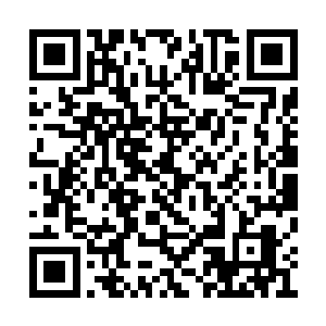 吓得仙主五个圣级大修士迅速地收回自己的神识二维码生成