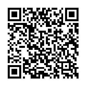 吕含烟和秦洛握手的时候还是忍不住刺了他一下二维码生成