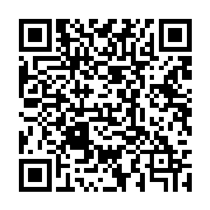 吕嘉薇背后的灰色资本要进入这个行业也不是坏事二维码生成