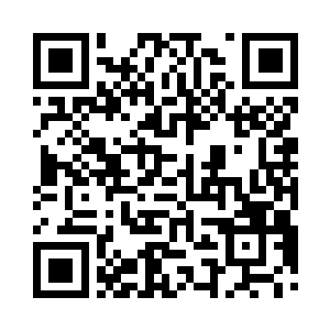 吕本吕阁老见朱平安提着毛笔神游太虚的样子二维码生成