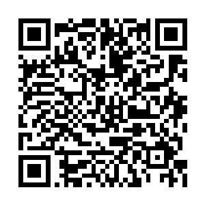 吕羽更是从吞蛇军当中甄选出来了二十四支小队二维码生成