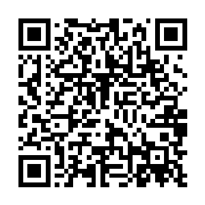 吕莎莎一直是他的那些师妹之中比较害羞和敏感的一个二维码生成