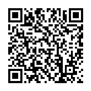吕诚已经来不及去想通墨枢怎么会突然出现在自己面前二维码生成