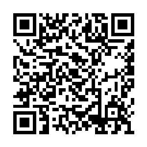 吕轻尘残留在夜叉小队四名成员脑域深处的神魂二维码生成