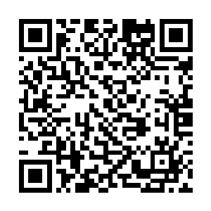 君临天以及鬼谷二仙五人分别坐在了黑白双鹰的身上二维码生成