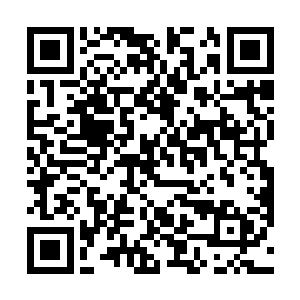 君北月这一回可是把漠北之地所有的兵力全都带到西边二维码生成