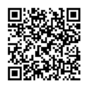 君墨皇倒是不知道夜染他们与木希尘之间发生过的二维码生成