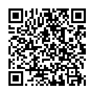 君墨皇和夜染迅速朝着军事学院的集合地点而去二维码生成