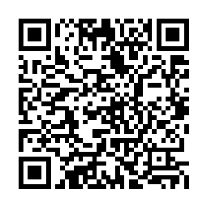 君墨皇黑着脸看着卡卡和豆豆这两个雄性的家伙二维码生成