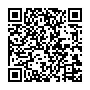 君夫人实在是没有料到小宝会这般直言询问她的功法二维码生成