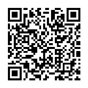 君无极也不想季疏云这般妩媚的模样被自己意外的其他人看到二维码生成