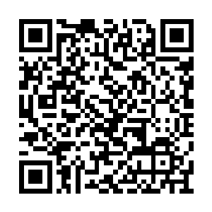 君武也并没有在之前表现出太过优秀的生育能力二维码生成