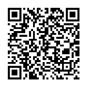 吞噬吞噬……我到底要怎样才能把自身的血脉之力运用起来二维码生成