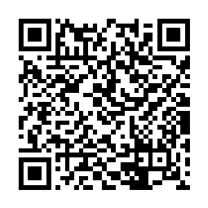 吞噬掉这个世界的所有规则之力来完成自身的超脱二维码生成