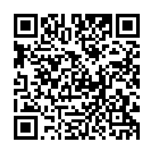 吞天兽说这天地奇火是世界十大火焰排名第十的荒火二维码生成