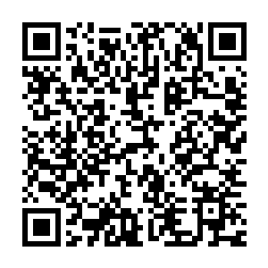 吞并一座完整的城堡可比只简单吞噬一个小boss的能量更具有诱惑力二维码生成