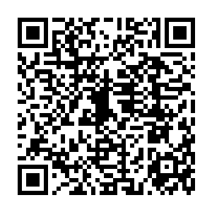 吞服某些蕴含一丝天道法则的特殊灵物或者炼化由先天之物孕育而成的先天灵宝二维码生成