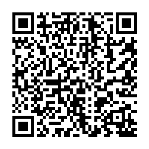 否则一向单细胞的洛浪怎么会说出那么具有煽动性与蛊惑性的话呢二维码生成