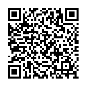 否则一旦逃逸引发血肉磨盘更加强烈的绞杀之力二维码生成