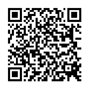 否则也不会在几次寻宝中就寻到隐龙玉和紫月天冥鼠这种宝贝二维码生成