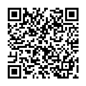否则也不会由巴黎市长的全权代表亲自发出邀请了二维码生成