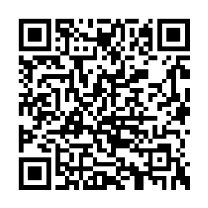 否则也不会留给马文这么多的搜索盲区供他躲藏二维码生成