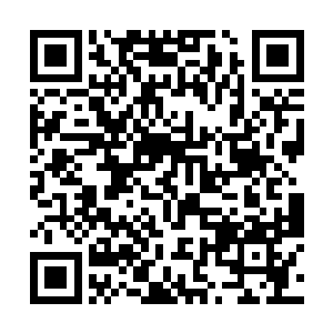 否则他也不会就这么不管不顾地穿进来以至于被卡住二维码生成