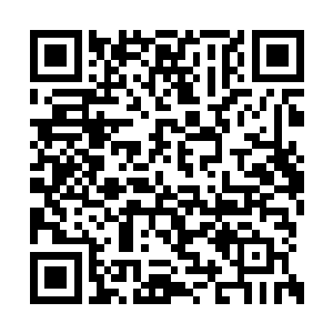 否则她在流炎沙地的时候也不会因为那个战天盟二维码生成