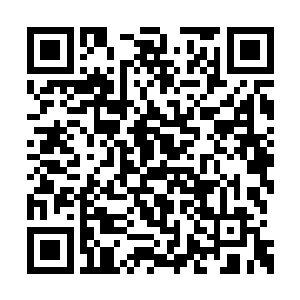 否则的话……我们邹家这传承了一千多年的招牌二维码生成