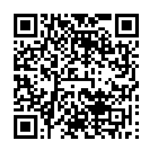 否则这一场灾难就不算是彻底的了结……神灵古棺还在这里二维码生成