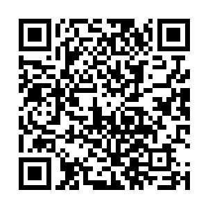吩咐他去把跟滨海市和岭南省相关的企改案例全部找来二维码生成