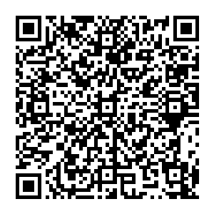 含着金汤勺出生从来没有人敢给你们委屈受给你们小鞋穿的公子哥――你们在我眼里都算个屁二维码生成